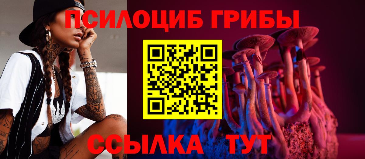 Старая Купавна  купить наркотик  Псилоцибиновые грибы Psilocybine cubensis  Вход с VPN  Псилоцибиновые грибы MAGIC MUSHROOMS 